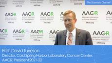 Advances in Pancreatic Cancer Pathways and Treatments