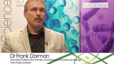 Professor Frank Dorman Explores the Risk of Environmental Mixed Halogenated Dioxins and Furans